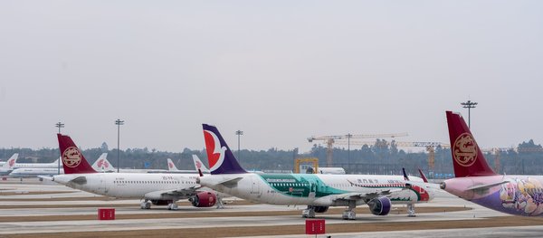 Explorer la cuisine japonaise: un guide pour le voyageur gastronome